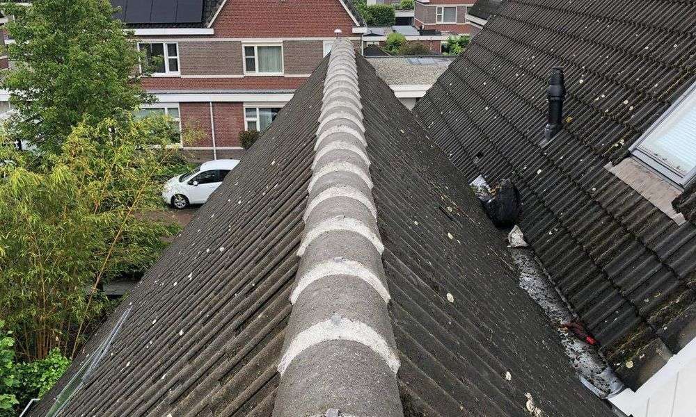 Repareren van nokvorsten in Horst